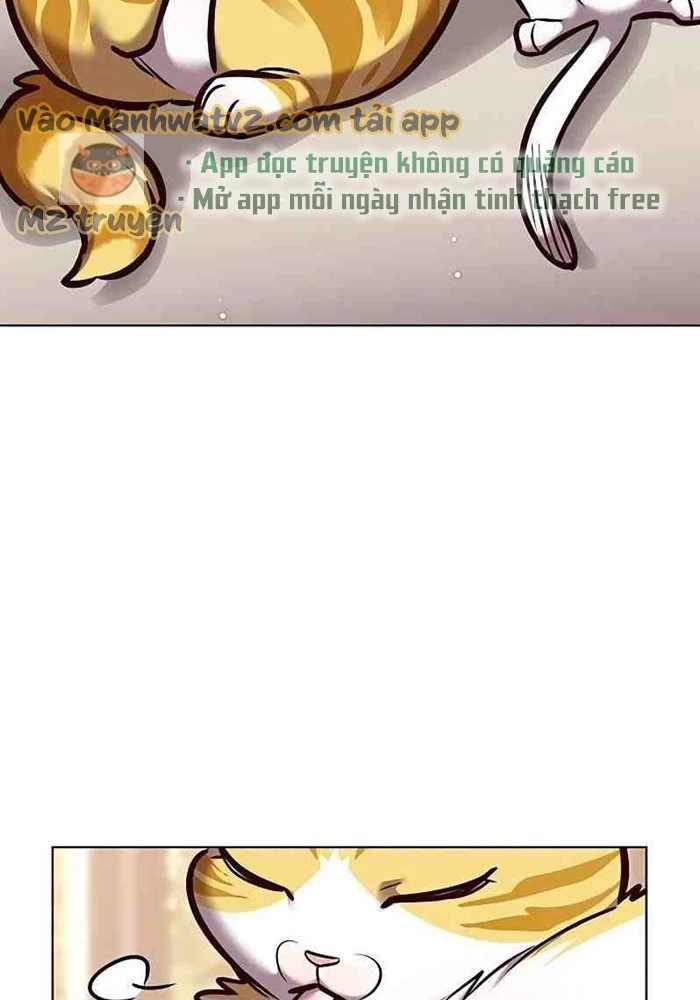Hoá Thân Thành Mèo Chapter 295 - 21