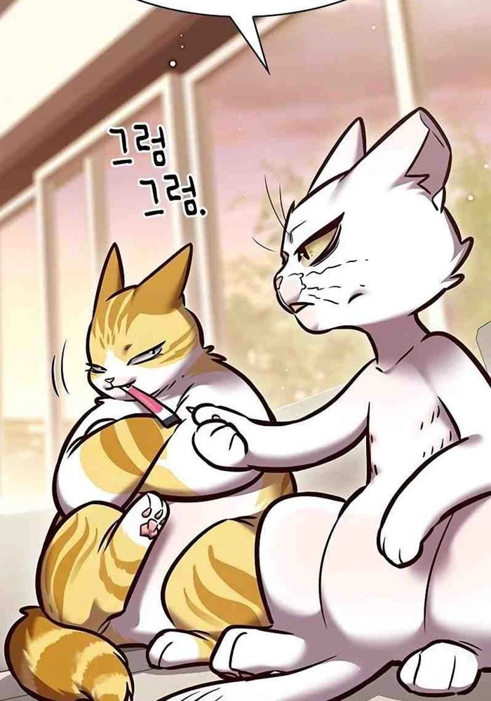 Hoá Thân Thành Mèo Chapter 295 - 40