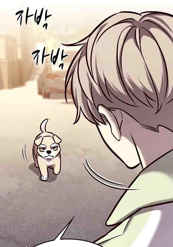 Hoá Thân Thành Mèo Chapter 295 - 61