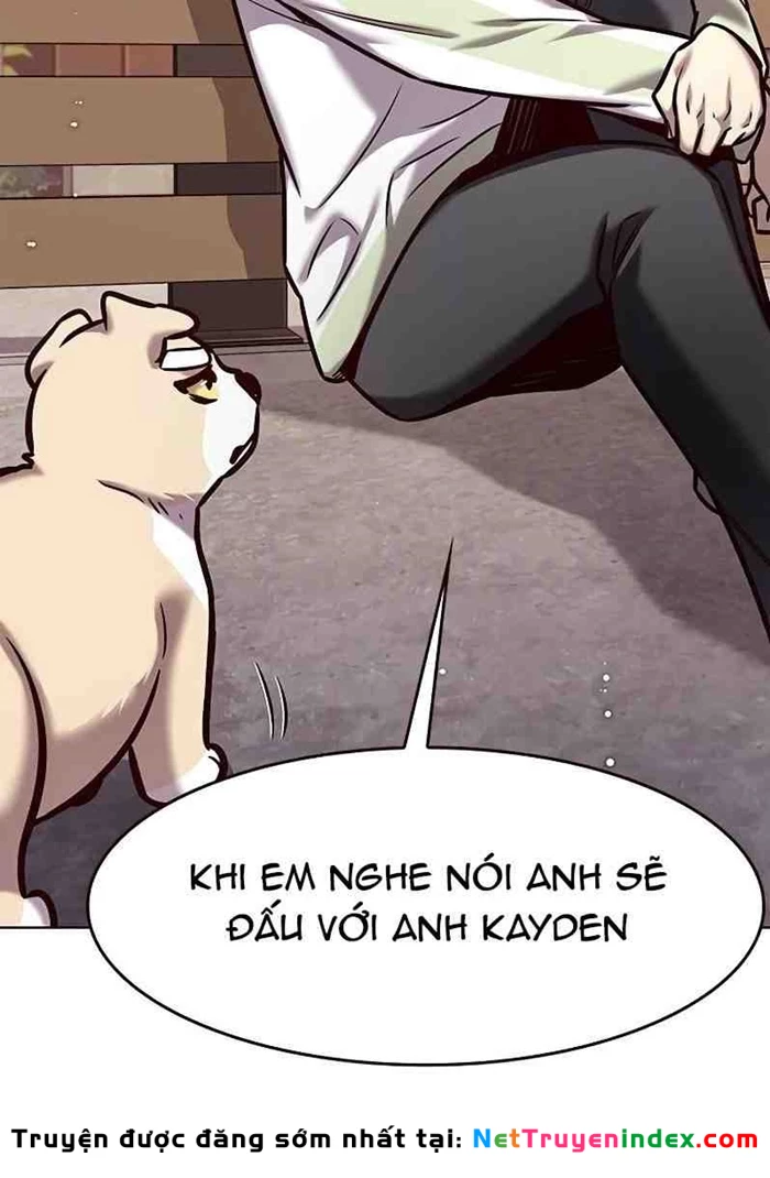 Hoá Thân Thành Mèo Chapter 295 - 64