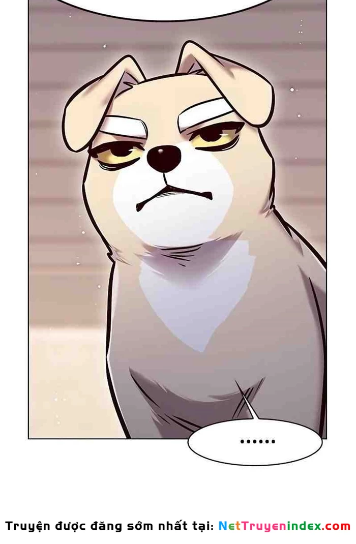 Hoá Thân Thành Mèo Chapter 295 - 67