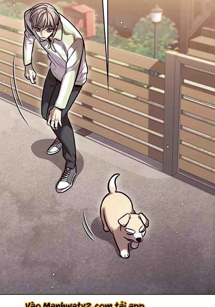 Hoá Thân Thành Mèo Chapter 295 - 79