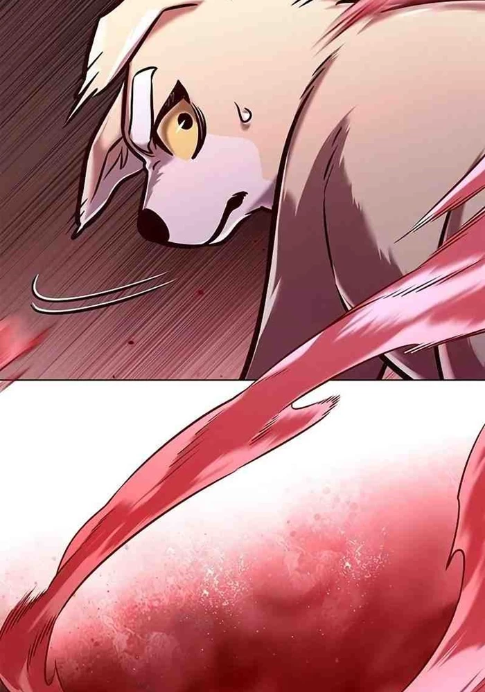 Hoá Thân Thành Mèo Chapter 295 - 87