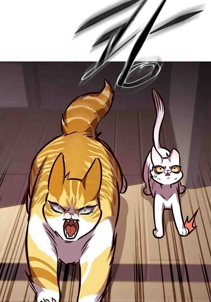 Hoá Thân Thành Mèo Chapter 295 - 91