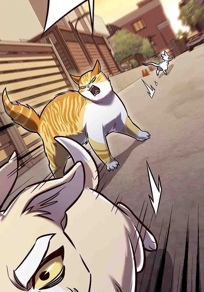 Hoá Thân Thành Mèo Chapter 295 - 95