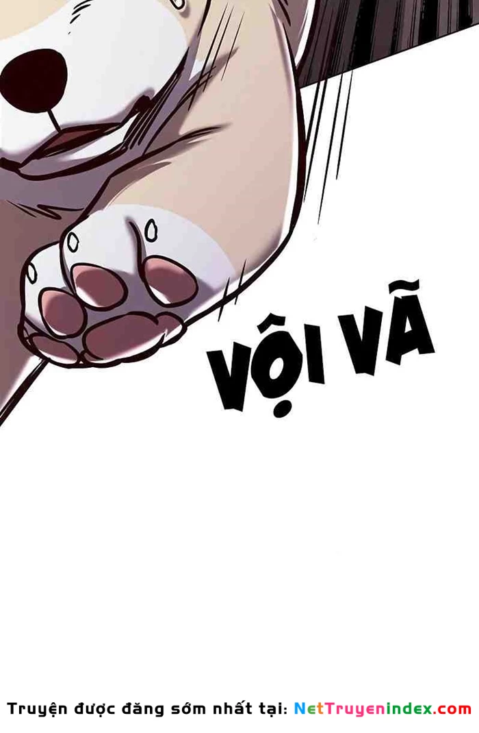 Hoá Thân Thành Mèo Chapter 295 - 96