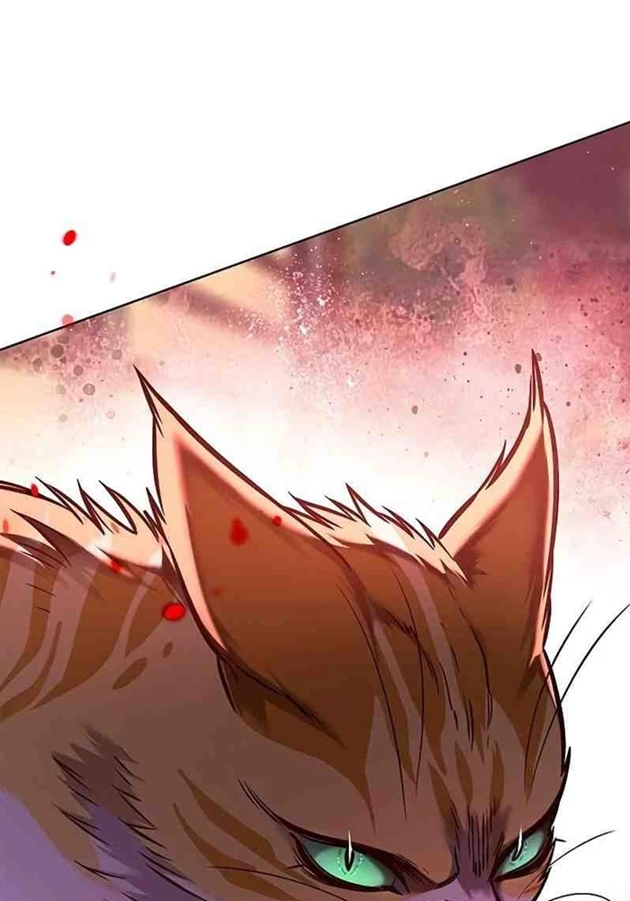 Hoá Thân Thành Mèo Chapter 295 - 97