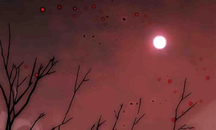 Hoá Thân Thành Mèo Chapter 295 - 99