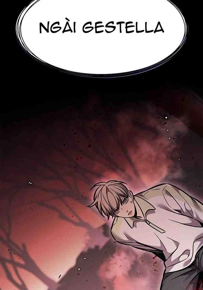 Hoá Thân Thành Mèo Chapter 295 - 113