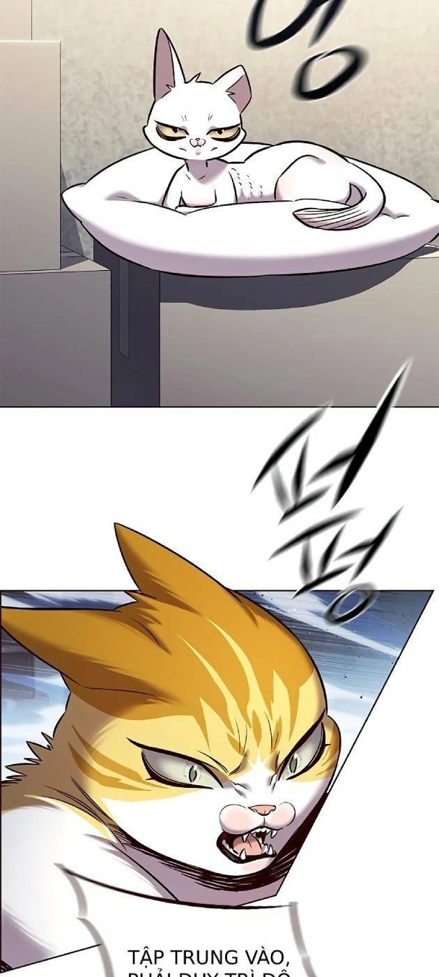 Hoá Thân Thành Mèo Chapter 241.1 - 9