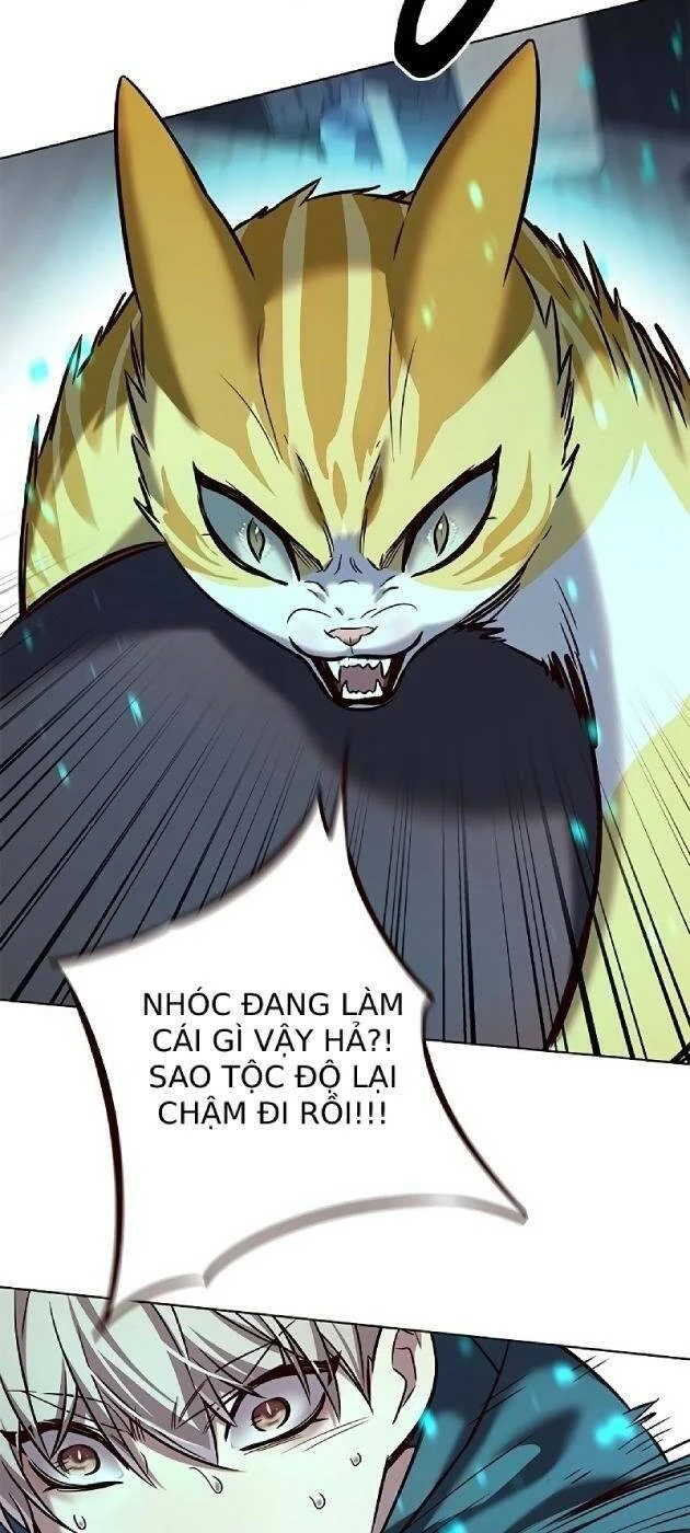 Hoá Thân Thành Mèo Chapter 241.1 - 12