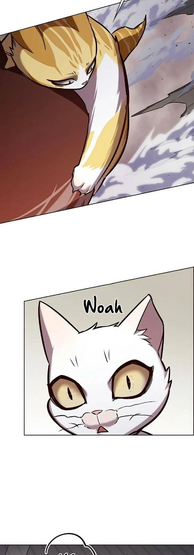 Hoá Thân Thành Mèo Chapter 241.1 - 24