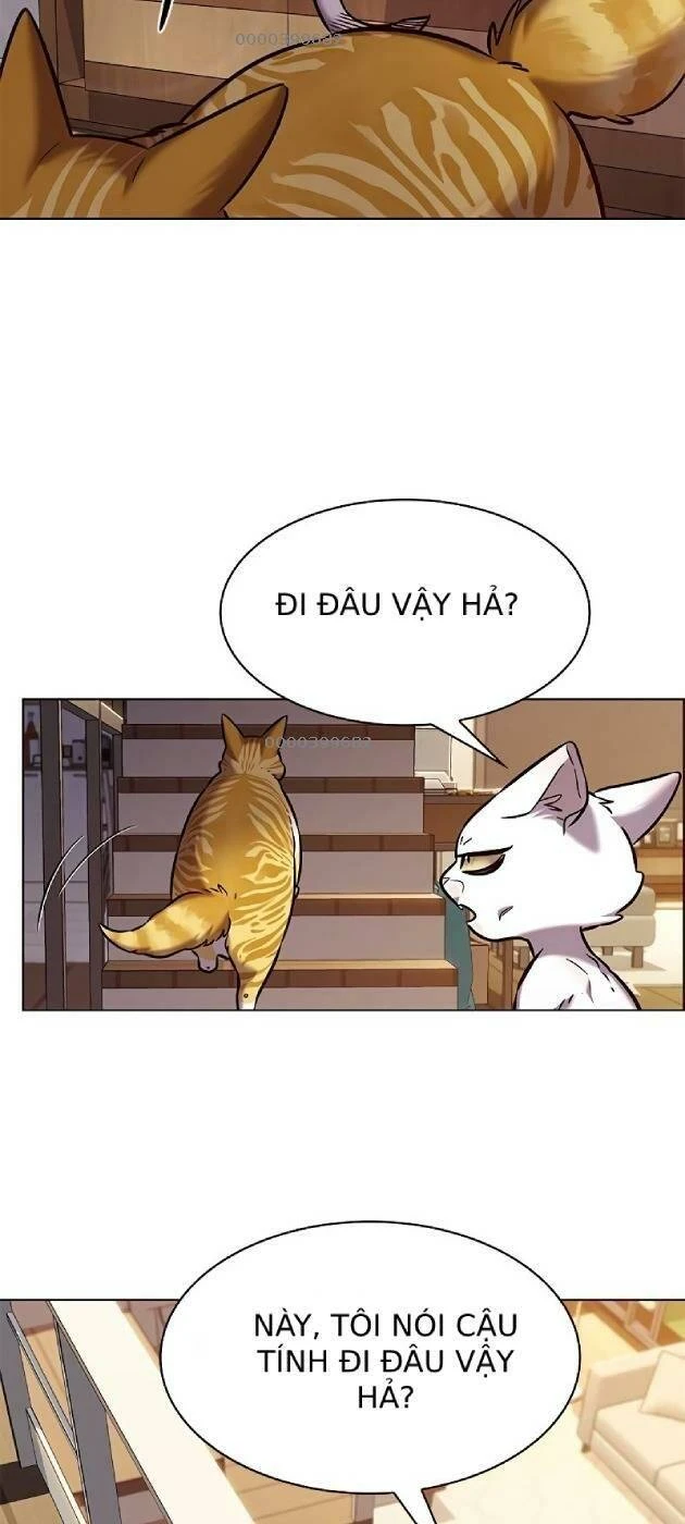 Hoá Thân Thành Mèo Chapter 241.1 - 59