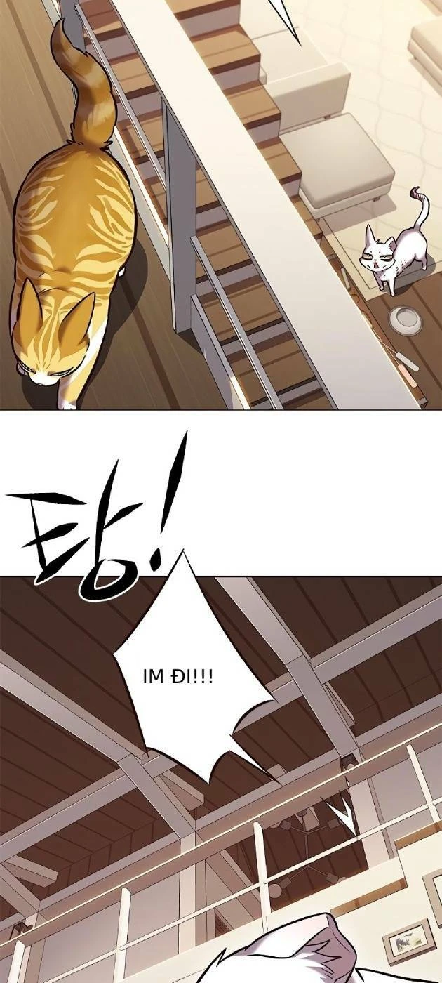 Hoá Thân Thành Mèo Chapter 241.1 - 60