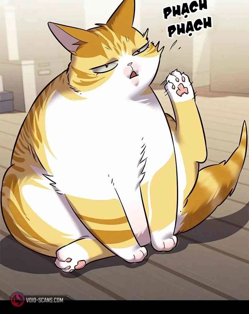 Hoá Thân Thành Mèo Chapter 244.1 - 14