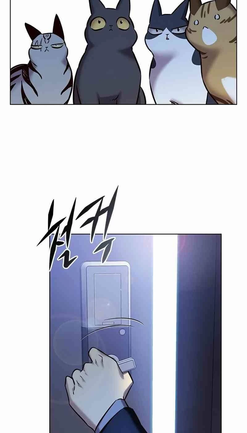 Hoá Thân Thành Mèo Chapter 244.1 - 43