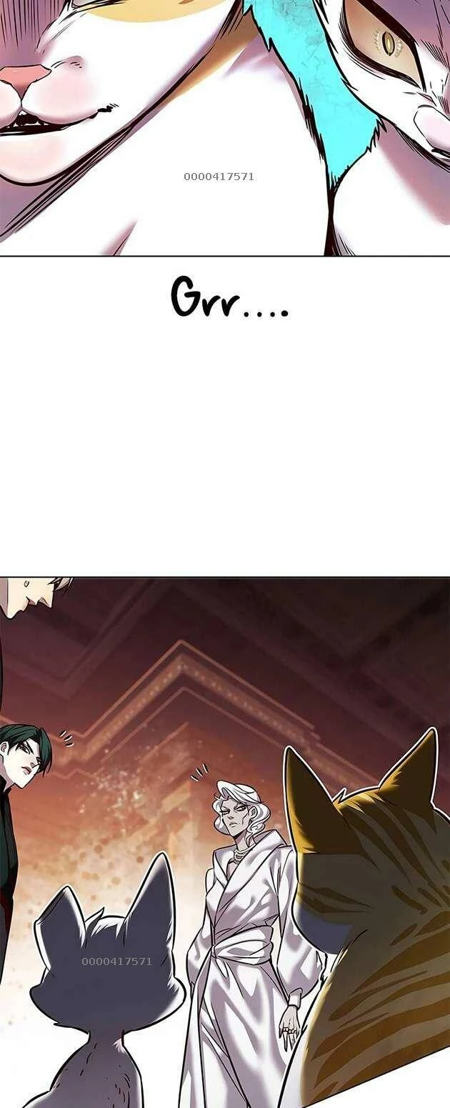 Hoá Thân Thành Mèo Chapter 246.1 - 17