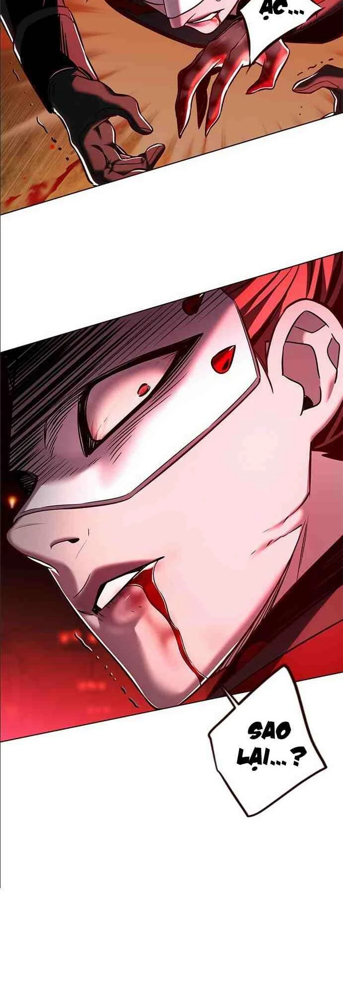 Hoá Thân Thành Mèo Chapter 255.1 - 58