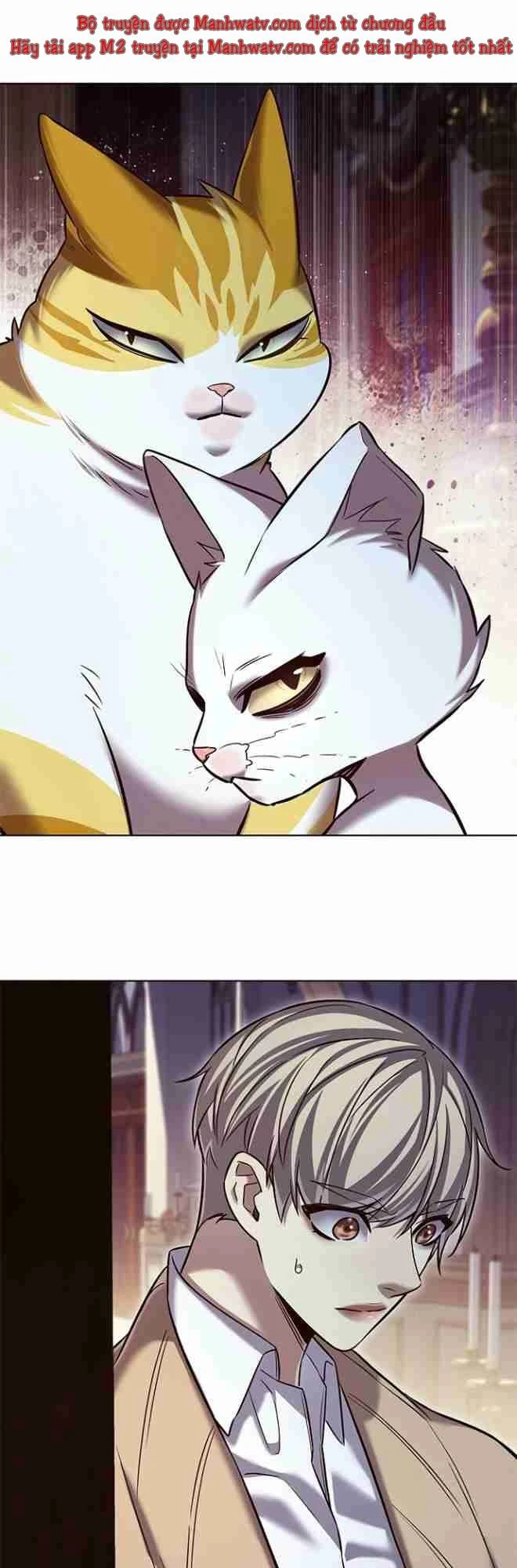 Hoá Thân Thành Mèo Chapter 256.1 - 31