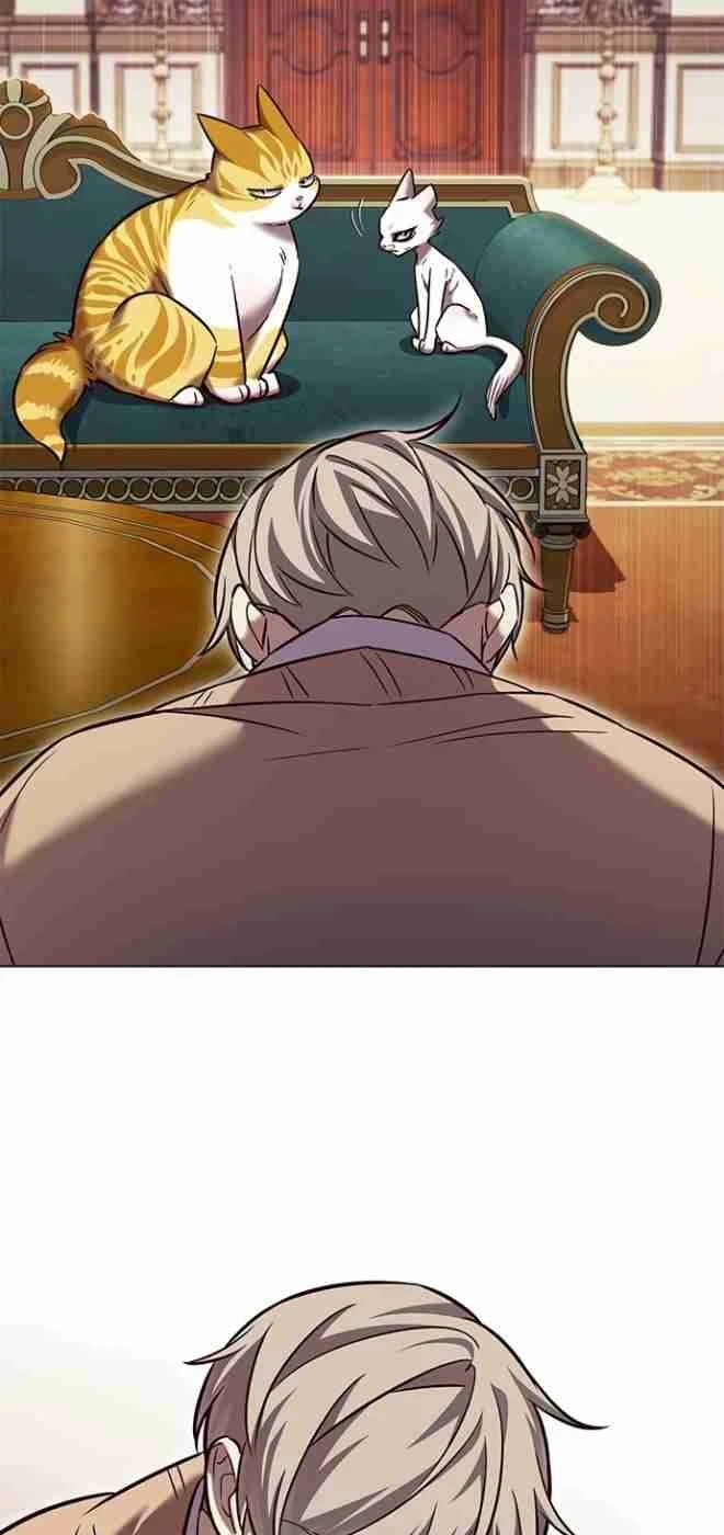 Hoá Thân Thành Mèo Chapter 256.1 - 44