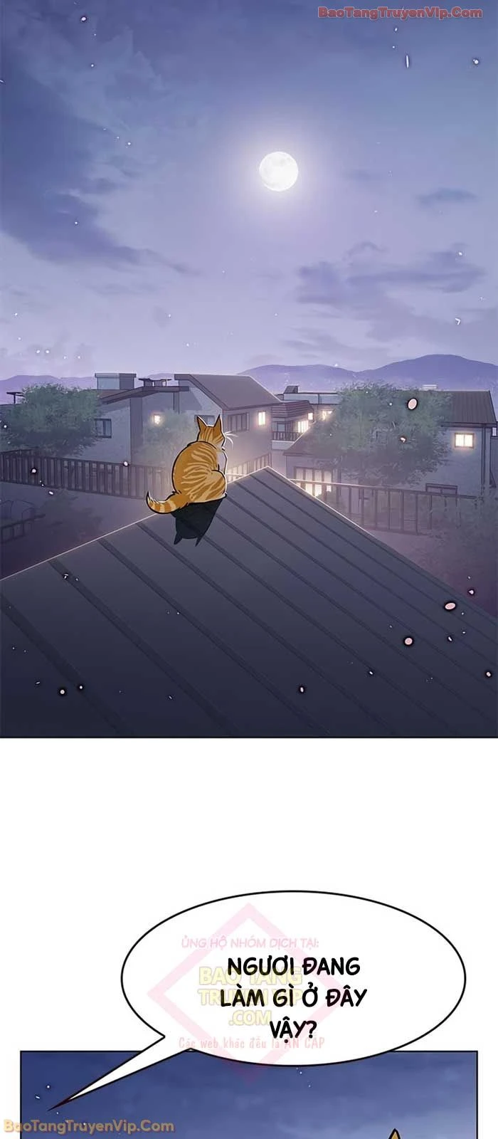 Hoá Thân Thành Mèo Chapter 364 - 34