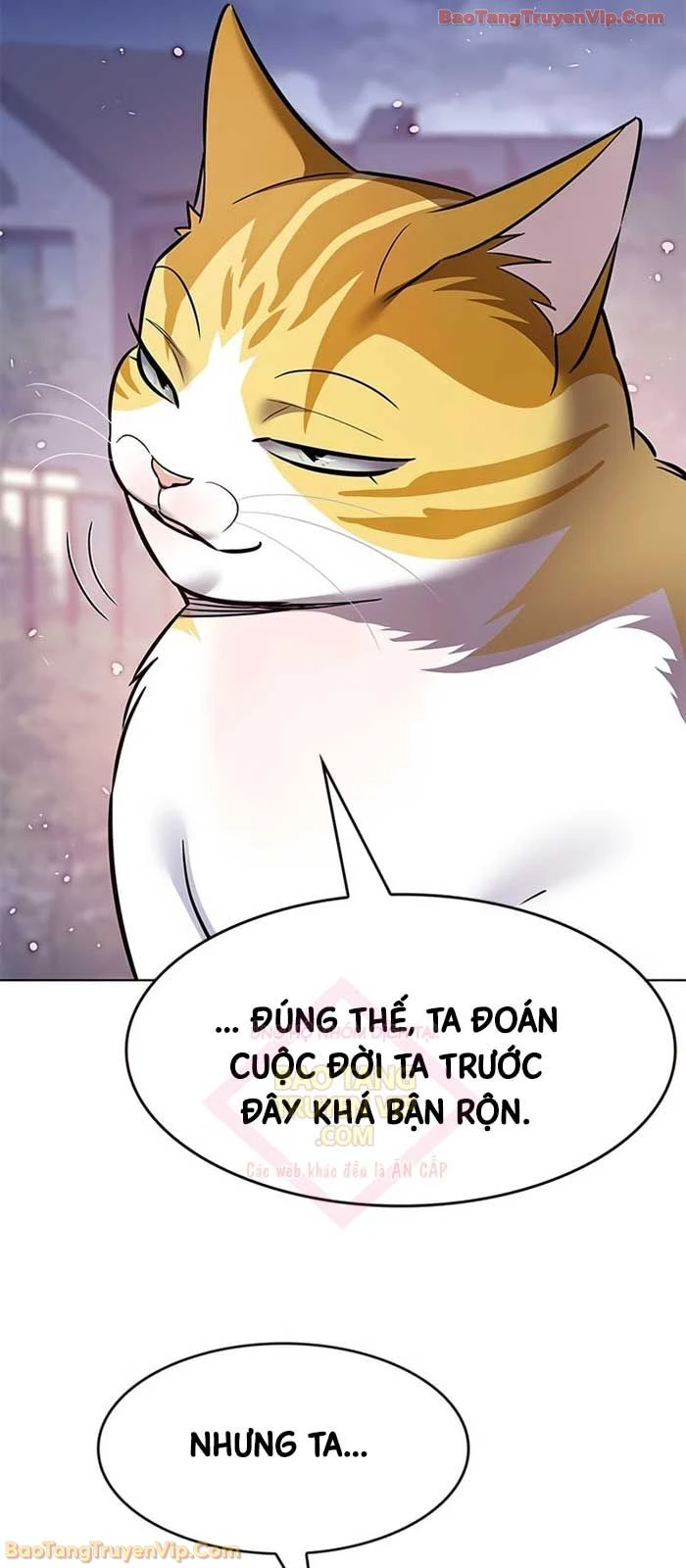 Hoá Thân Thành Mèo Chapter 364 - 49