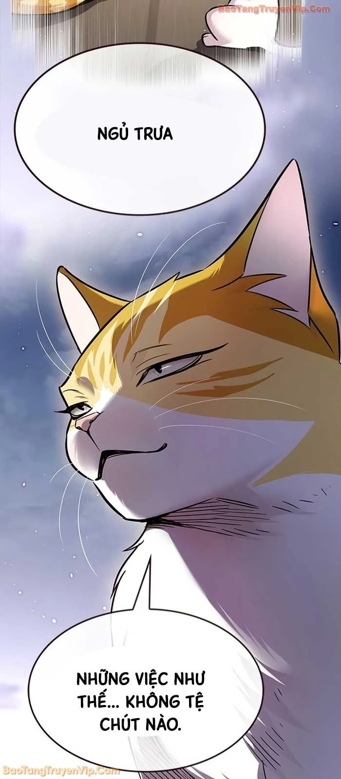 Hoá Thân Thành Mèo Chapter 364 - 63