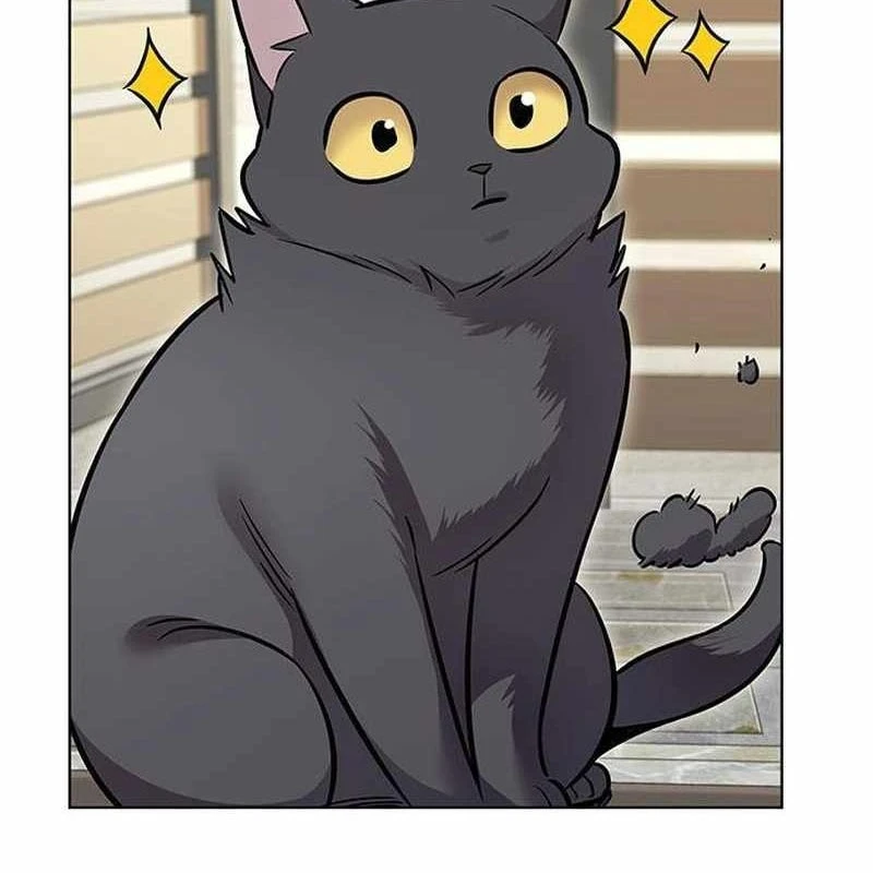 Hoá Thân Thành Mèo Chapter 365 - 11