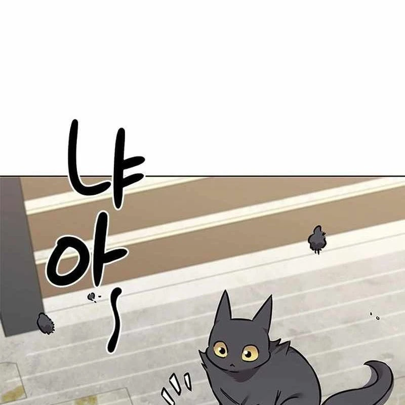 Hoá Thân Thành Mèo Chapter 365 - 12