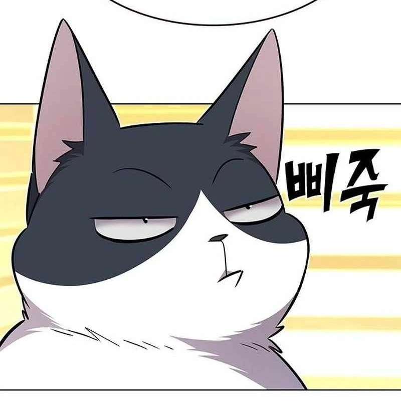 Hoá Thân Thành Mèo Chapter 365 - 17