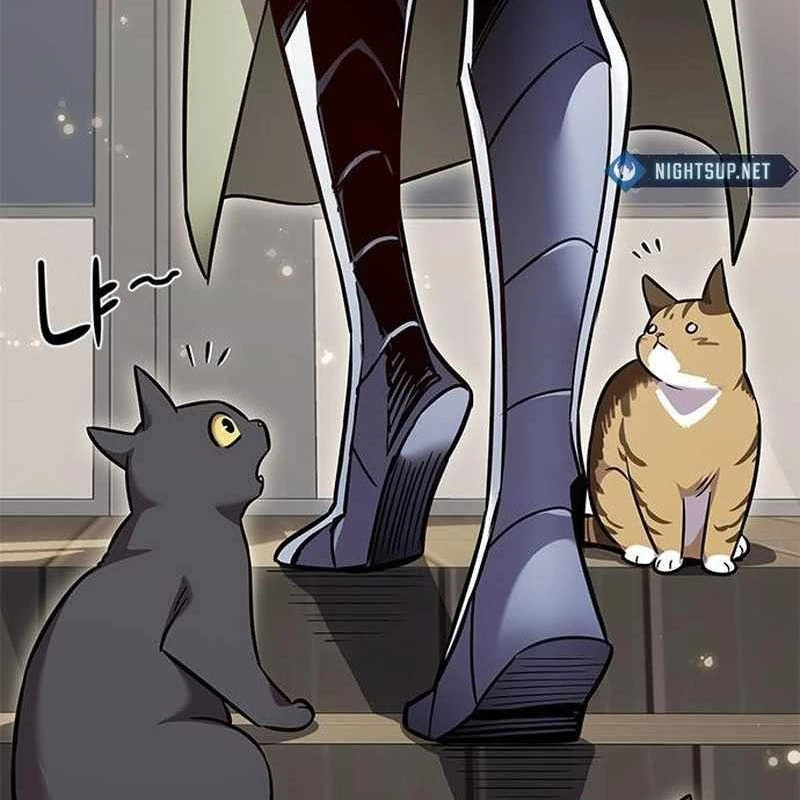 Hoá Thân Thành Mèo Chapter 365 - 50