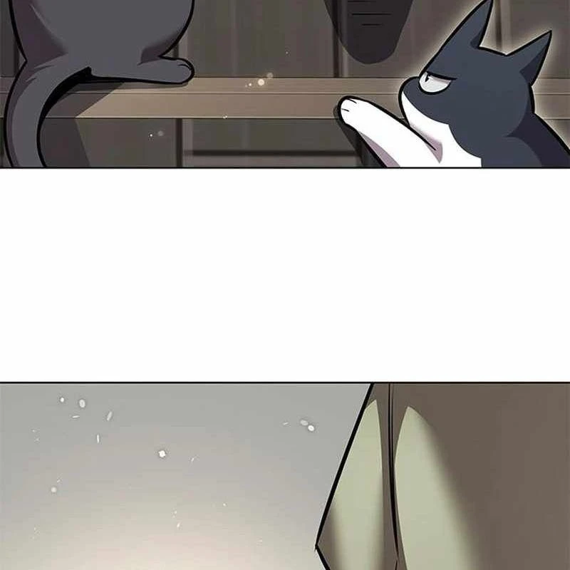 Hoá Thân Thành Mèo Chapter 365 - 51