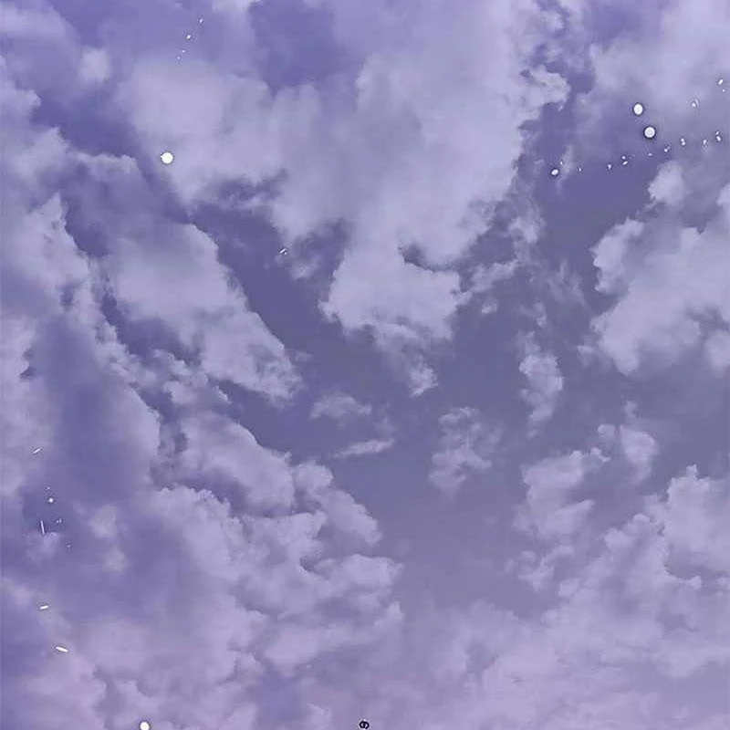 Hoá Thân Thành Mèo Chapter 365 - 140