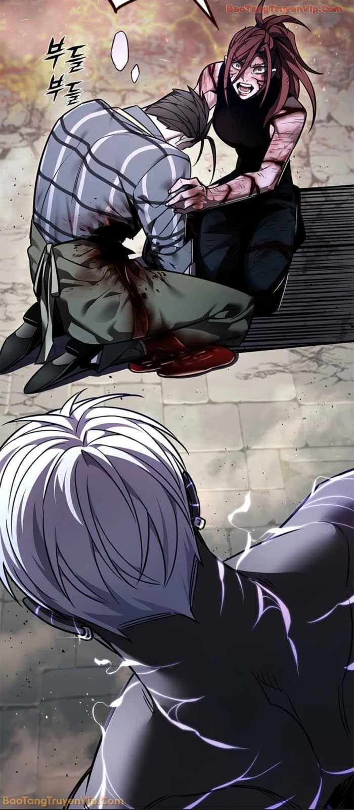 Hoá Thân Thành Mèo Chapter 368 - 10