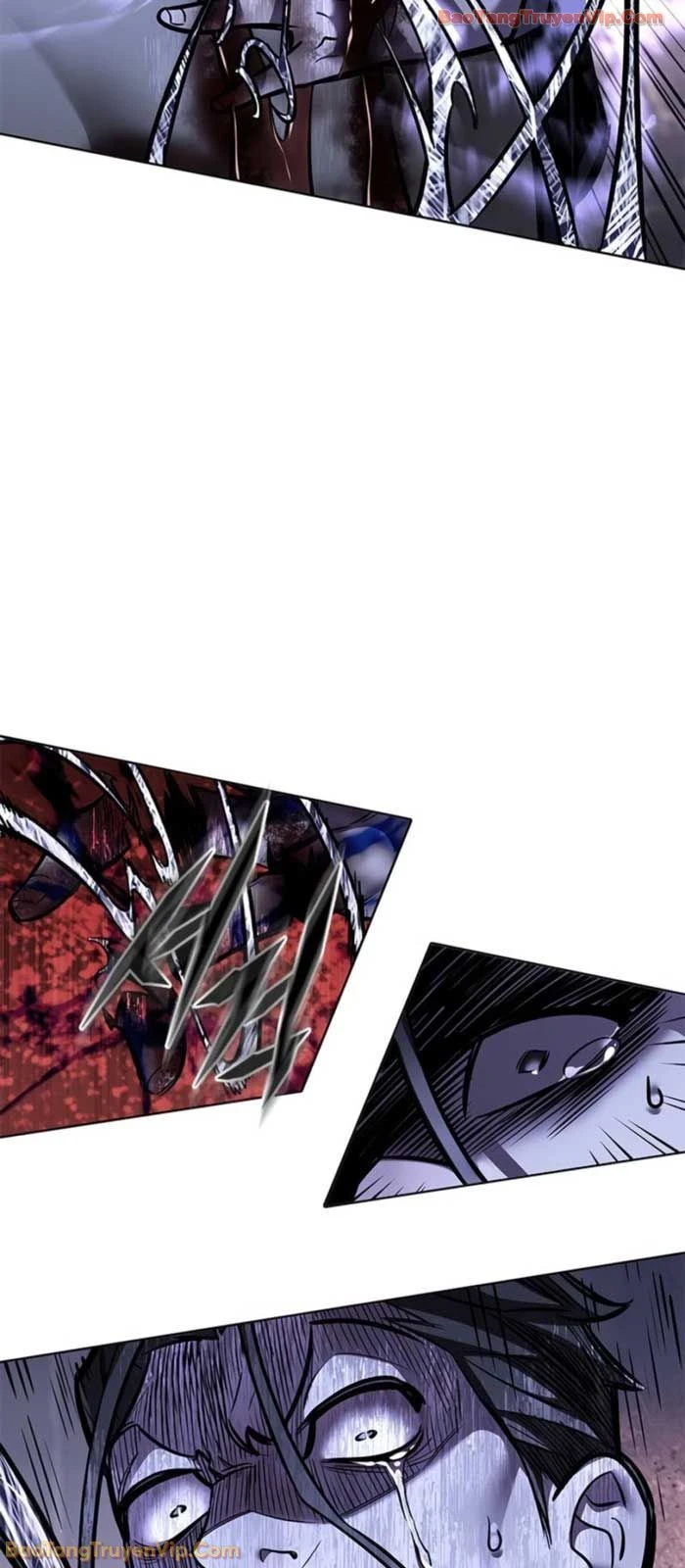 Hoá Thân Thành Mèo Chapter 368 - 61