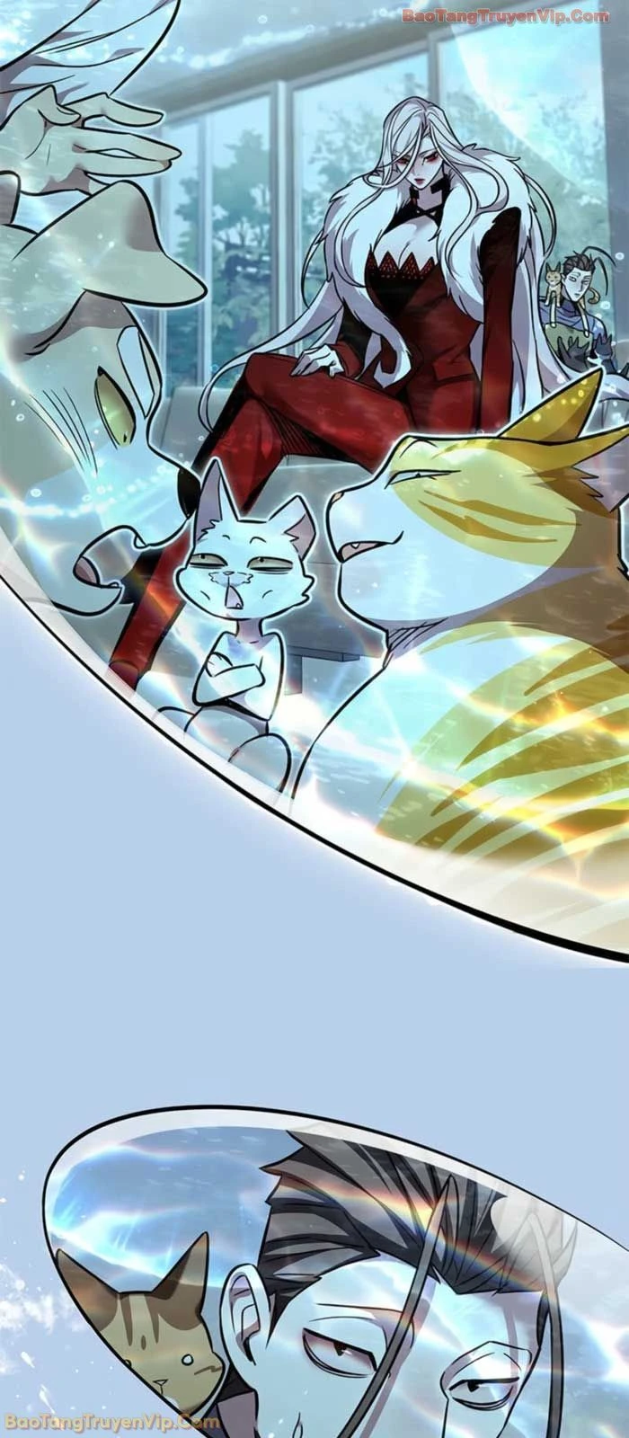 Hoá Thân Thành Mèo Chapter 368 - 73