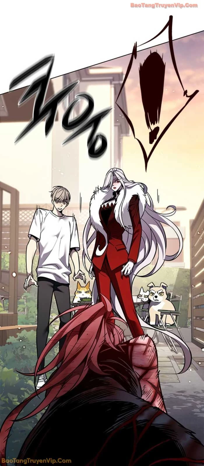 Hoá Thân Thành Mèo Chapter 368 - 80