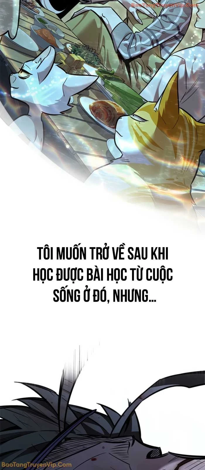 Hoá Thân Thành Mèo Chapter 368 - 87