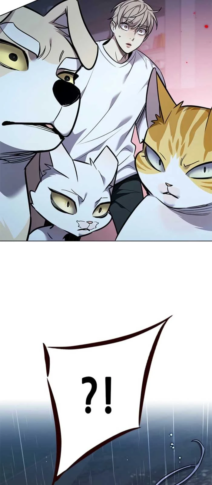 Hoá Thân Thành Mèo Chapter 369 - 71