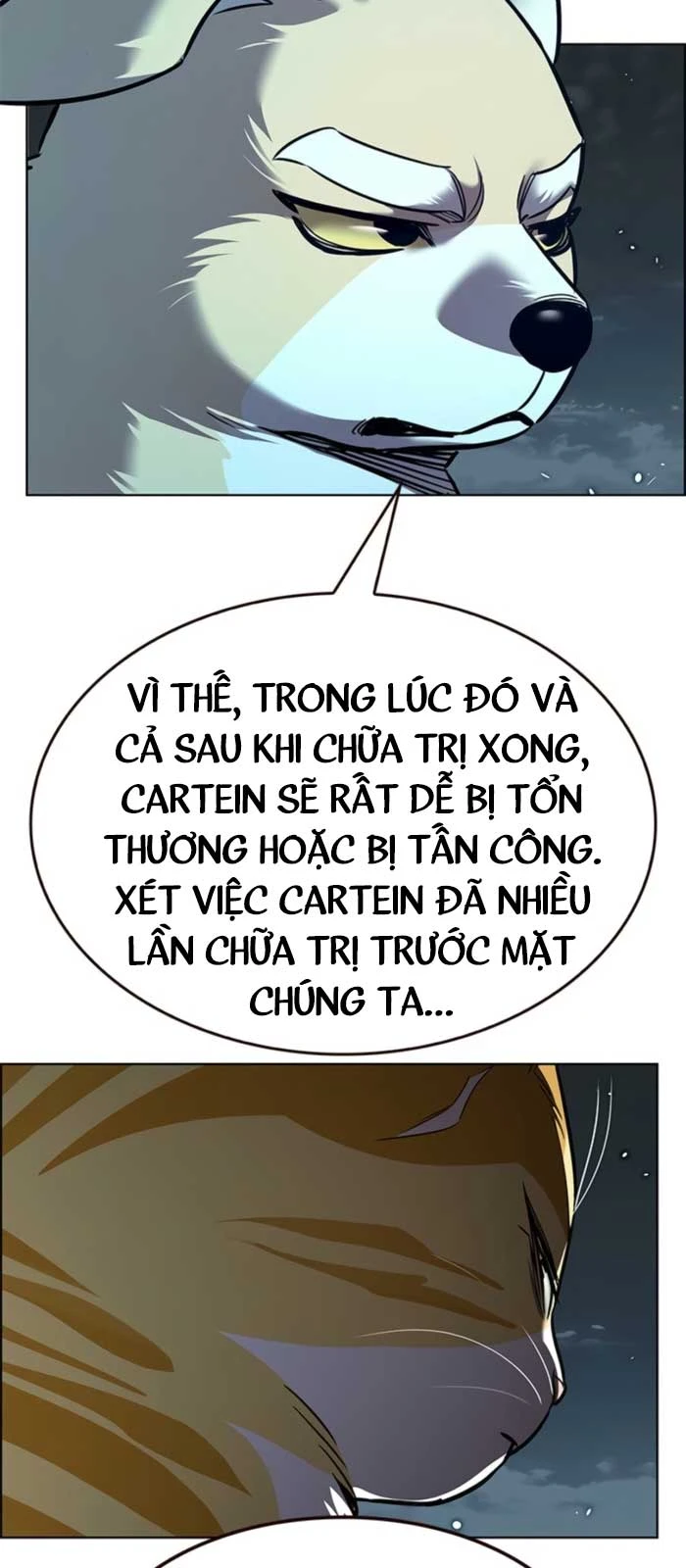 Hoá Thân Thành Mèo Chapter 369 - 101