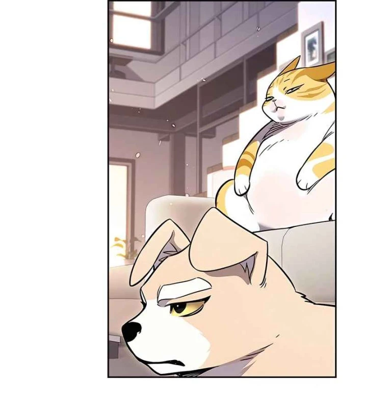 Hoá Thân Thành Mèo Chapter 370 - 51