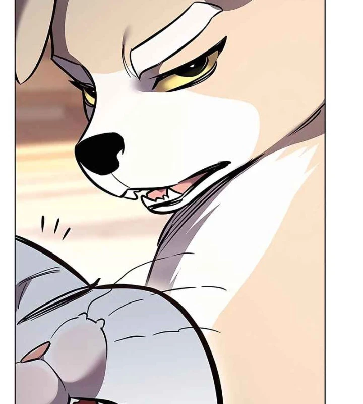 Hoá Thân Thành Mèo Chapter 370 - 73