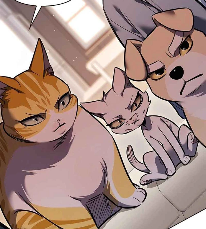 Hoá Thân Thành Mèo Chapter 370 - 96