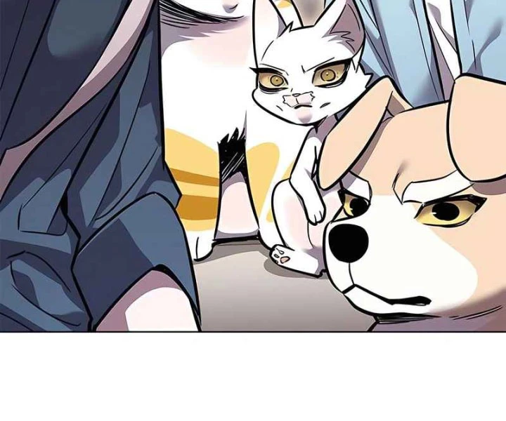 Hoá Thân Thành Mèo Chapter 370 - 102