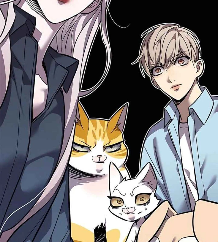 Hoá Thân Thành Mèo Chapter 370 - 104