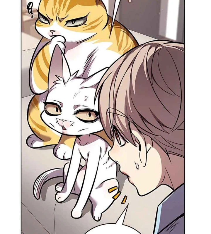 Hoá Thân Thành Mèo Chapter 370 - 120