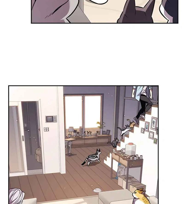 Hoá Thân Thành Mèo Chapter 370 - 123