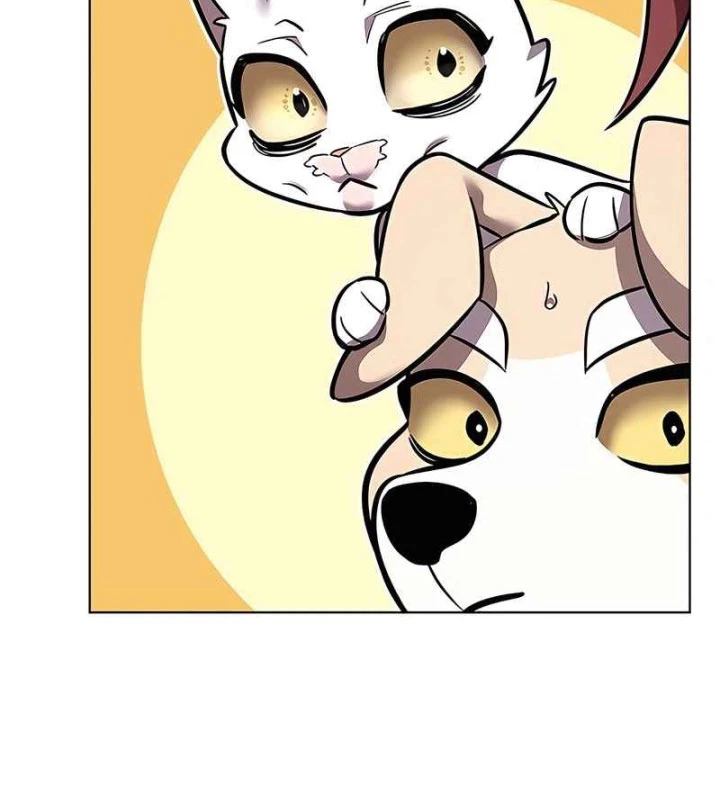 Hoá Thân Thành Mèo Chapter 370 - 132