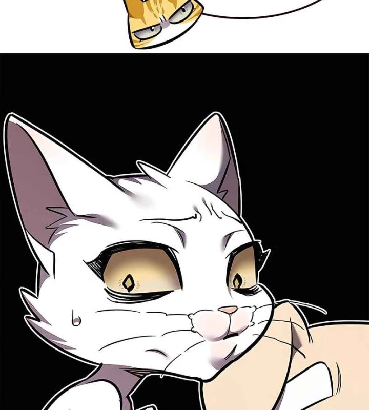 Hoá Thân Thành Mèo Chapter 370 - 142