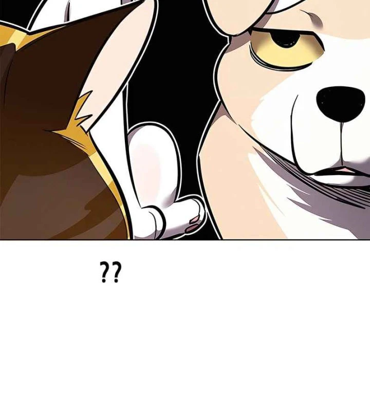 Hoá Thân Thành Mèo Chapter 370 - 143